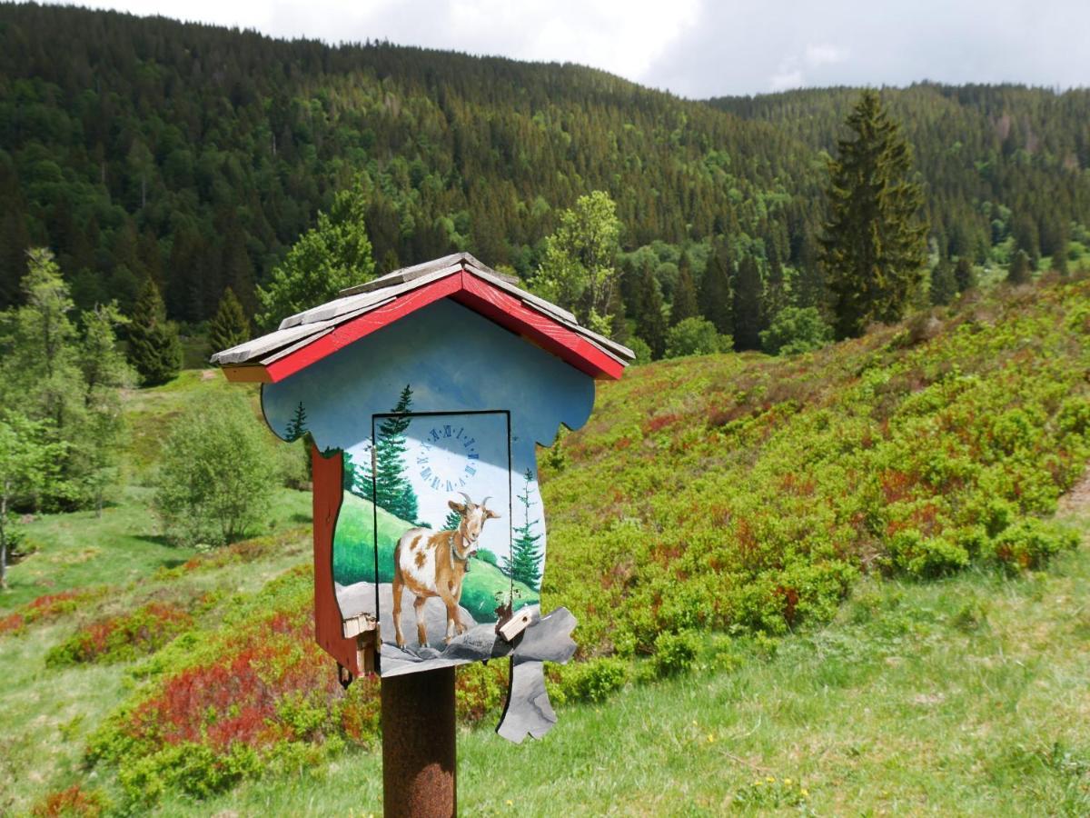 Fewo Schwarzwaldschick Feldberg - Wandern & Biken Ab Haustuer - Fuer Naturbegeisterte & Schwarzwald-Fans - Mit Whirlwanne Extérieur photo