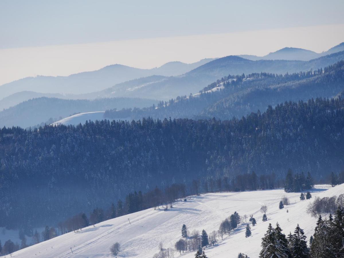 Fewo Schwarzwaldschick Feldberg - Wandern & Biken Ab Haustuer - Fuer Naturbegeisterte & Schwarzwald-Fans - Mit Whirlwanne Extérieur photo