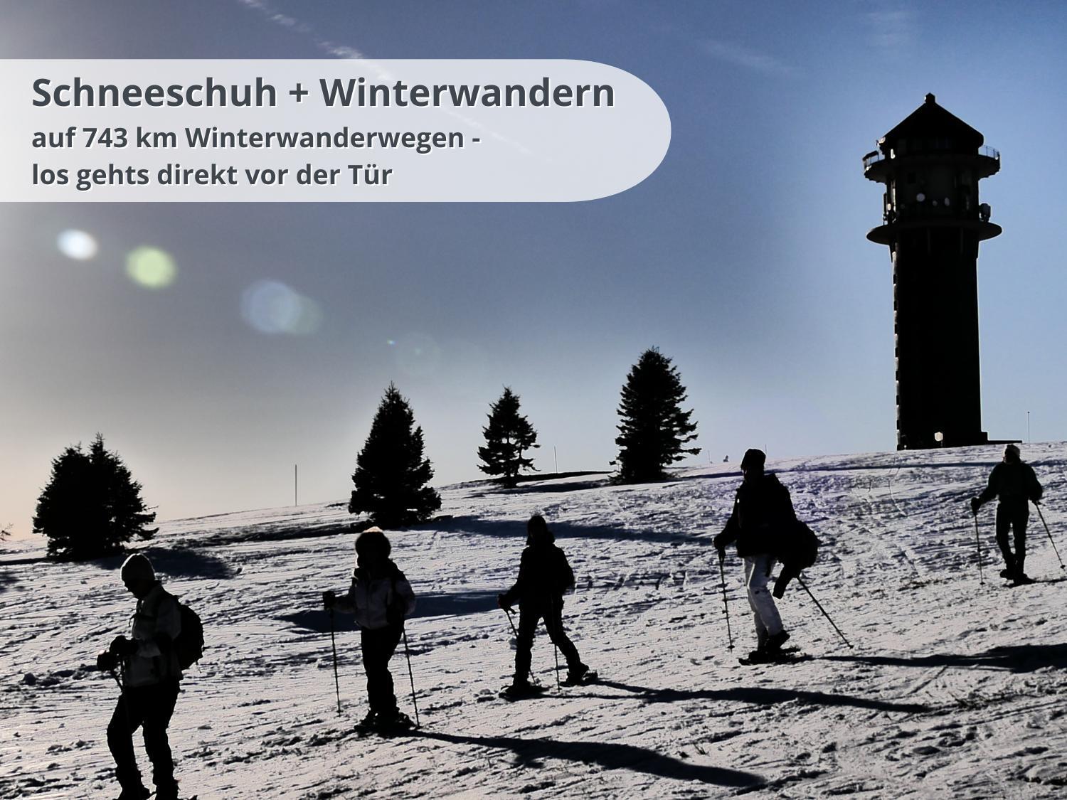 Fewo Schwarzwaldschick Feldberg - Wandern & Biken Ab Haustuer - Fuer Naturbegeisterte & Schwarzwald-Fans - Mit Whirlwanne Extérieur photo