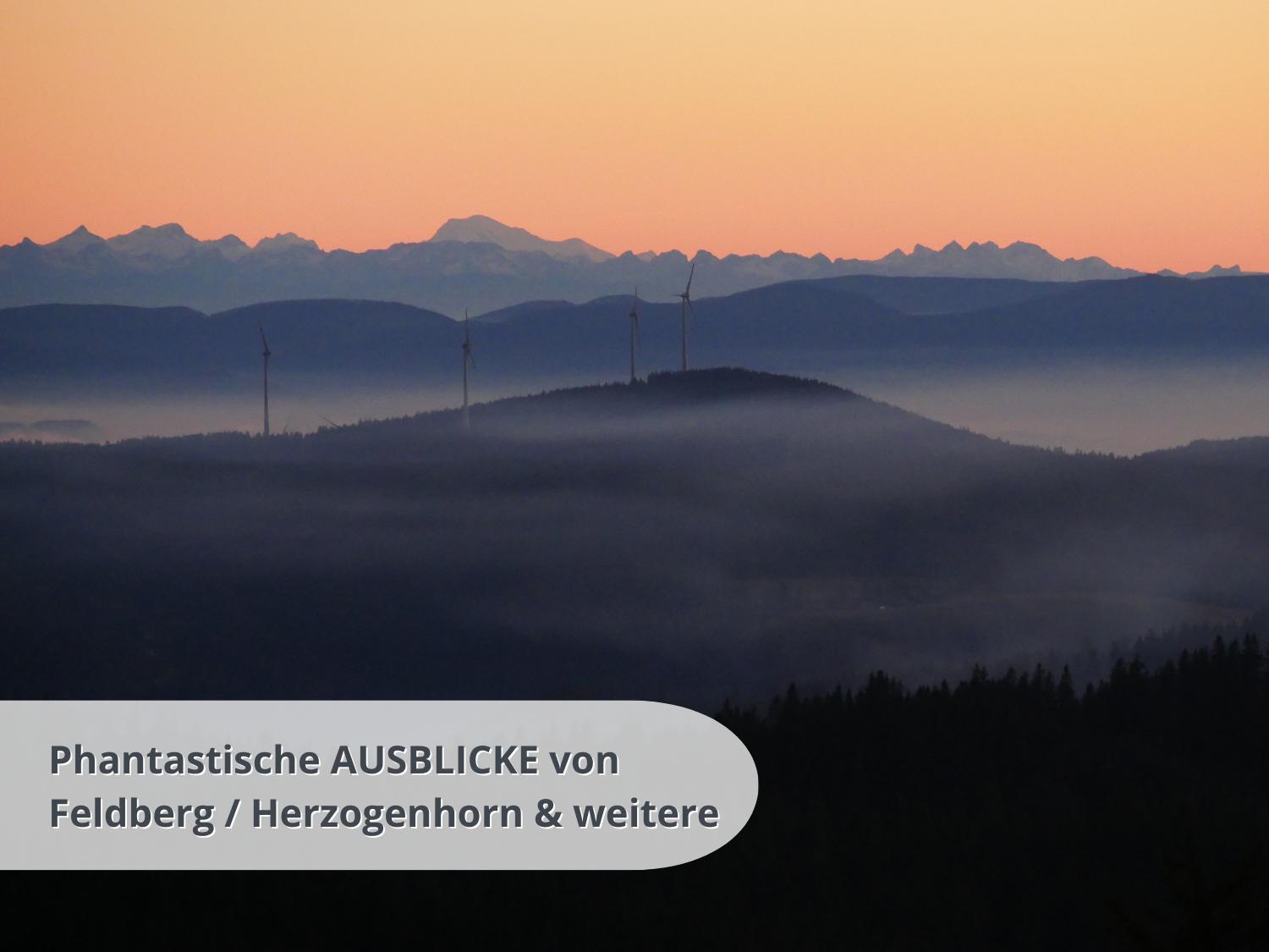 Fewo Schwarzwaldschick Feldberg - Wandern & Biken Ab Haustuer - Fuer Naturbegeisterte & Schwarzwald-Fans - Mit Whirlwanne Extérieur photo