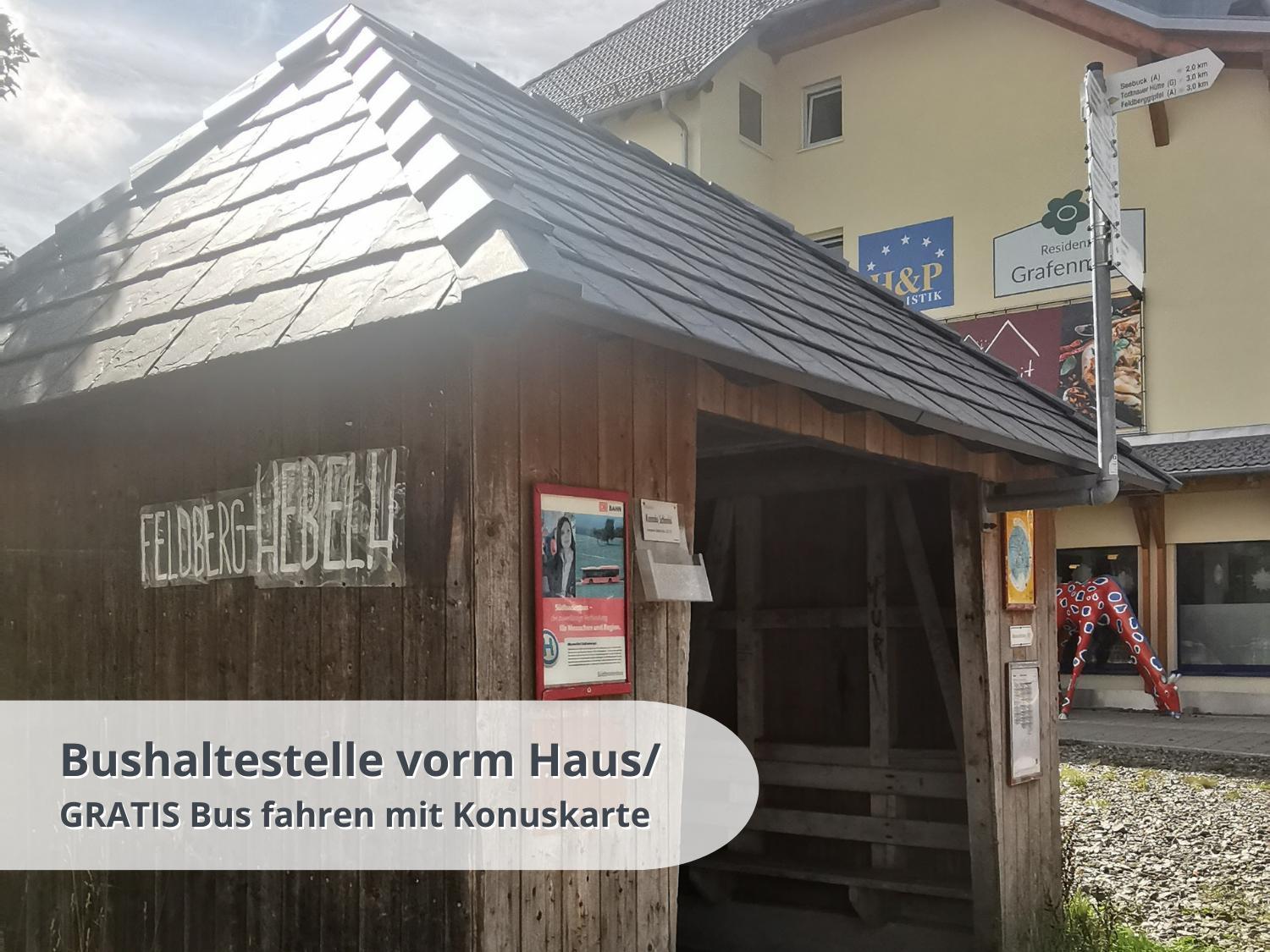 Fewo Schwarzwaldschick Feldberg - Wandern & Biken Ab Haustuer - Fuer Naturbegeisterte & Schwarzwald-Fans - Mit Whirlwanne Extérieur photo